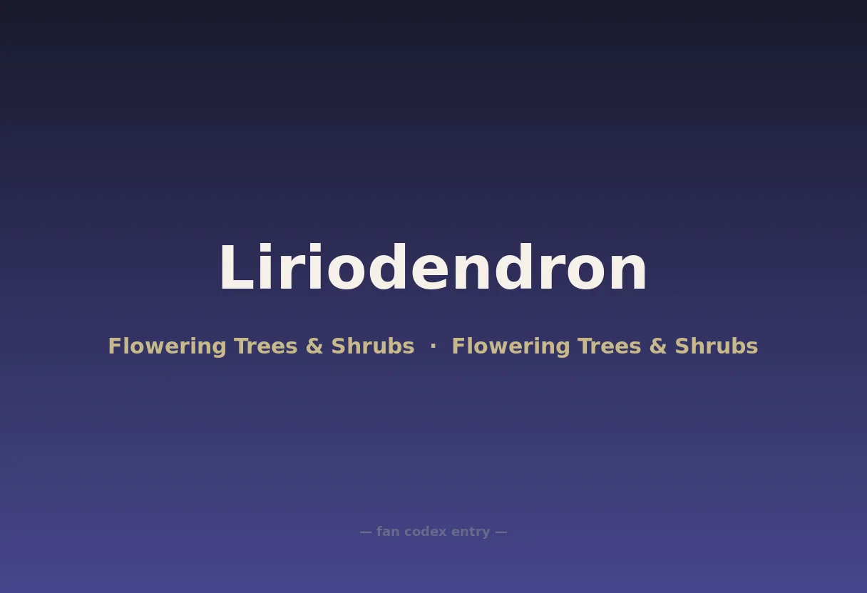 Liriodendron